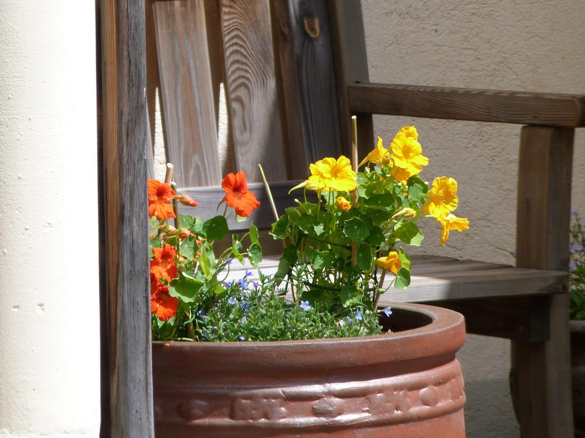 B & B Au Dela Du Temps Saint-Mamet Экстерьер фото